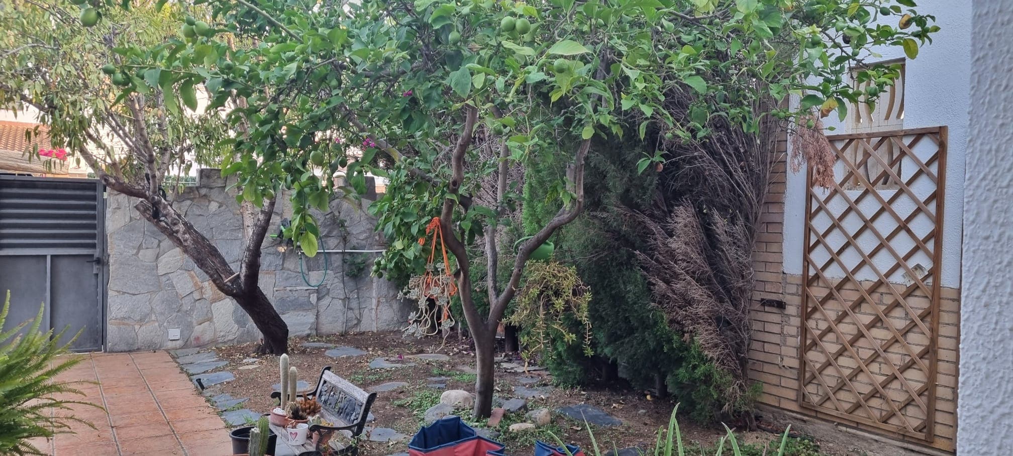 Posades a Punt de Jardins
