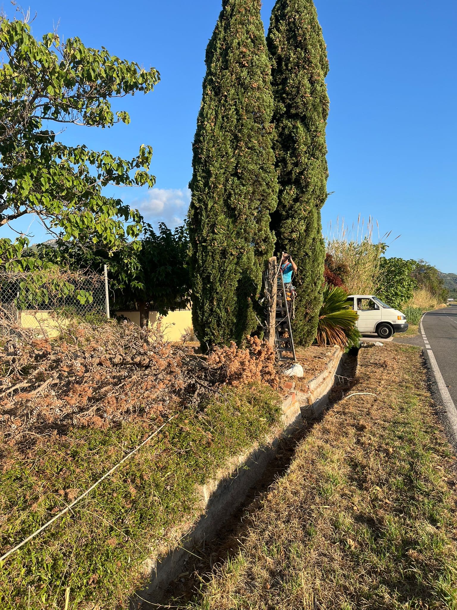 Equip de Jardí Verd treballant en una tala controlada